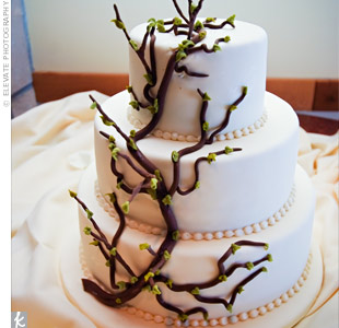 Cakes With Branches
